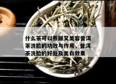 什么茶可以养颜又美容普洱茶洗脸的功效与作用，普洱茶洗脸的好处及美白效果