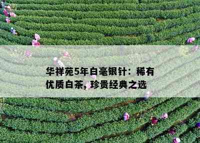 华祥苑5年白毫银针：稀有优质白茶, 珍贵经典之选