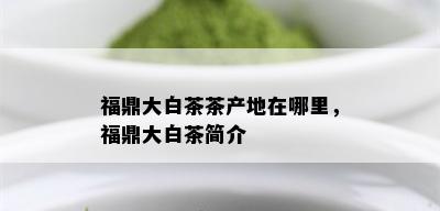 福鼎大白茶茶产地在哪里，福鼎大白茶简介