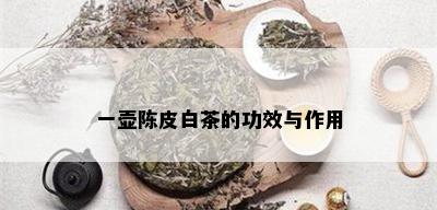 一壶陈皮白茶的功效与作用