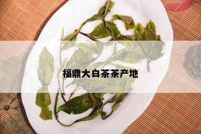 福鼎大白茶茶产地