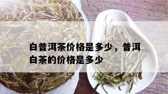 白普洱茶价格是多少，普洱白茶的价格是多少