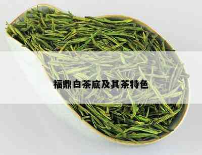 福鼎白茶底及其茶特色