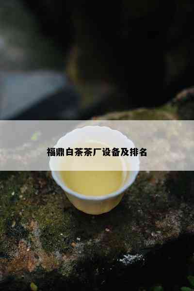 福鼎白茶茶厂设备及排名