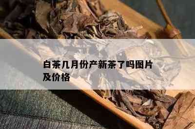 白茶几月份产新茶了吗图片及价格