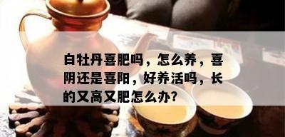 白牡丹喜肥吗，怎么养，喜阴还是喜阳，好养活吗，长的又高又肥怎么办？