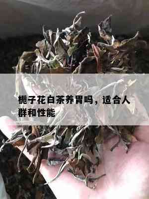 栀子花白茶养胃吗，适合人群和性能