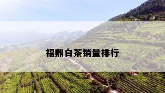 福鼎白茶销量排行