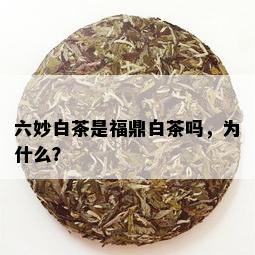 六妙白茶是福鼎白茶吗，为什么？