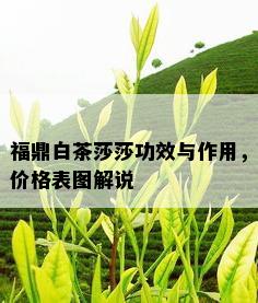 福鼎白茶莎莎功效与作用，价格表图解说