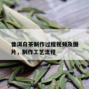 普洱白茶制作过程视频及图片，制作工艺流程