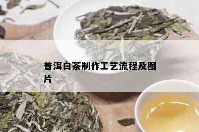 普洱白茶制作工艺流程及图片