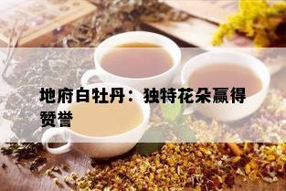 地府白牡丹：独特花朵赢得赞誉