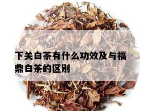 下关白茶有什么功效及与福鼎白茶的区别