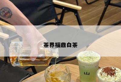 茶界福鼎白茶