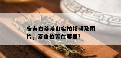 安吉白茶茶山实拍视频及图片，茶山位置在哪里？