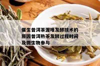 催生普洱茶渥堆发酵技术的原因普洱熟茶发酵过程时间及微生物参与