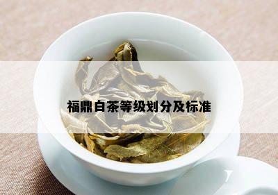 福鼎白茶等级划分及标准