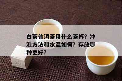 白茶普洱茶用什么茶杯？冲泡方法和水温如何？存放哪种更好？