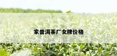 家普洱茶厂女牌价格