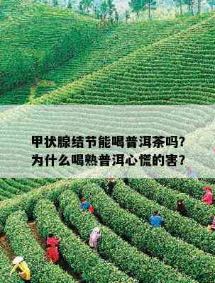 甲状腺结节能喝普洱茶吗？为什么喝熟普洱心慌的害？