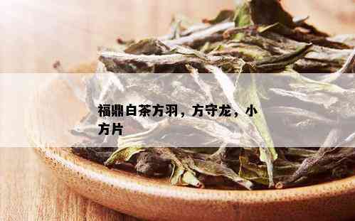 福鼎白茶方羽，方守龙，小方片