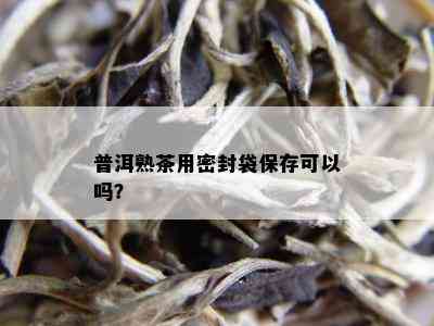 普洱熟茶用密封袋保存可以吗？