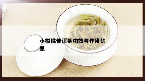 小柑橘普洱茶功效与作用禁忌