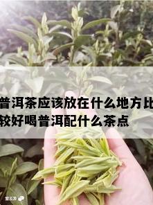 普洱茶应该放在什么地方比较好喝普洱配什么茶点