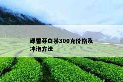 绿雪芽白茶300克价格及冲泡方法