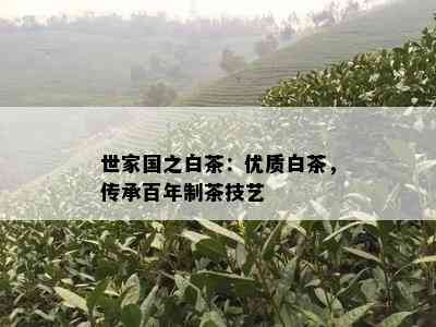 世家国之白茶：优质白茶，传承百年制茶技艺