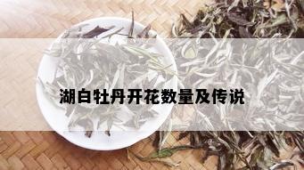 湖白牡丹开花数量及传说