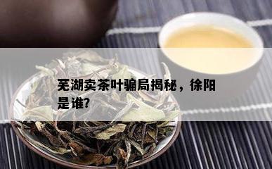 芜湖卖茶叶骗局揭秘，徐阳是谁？