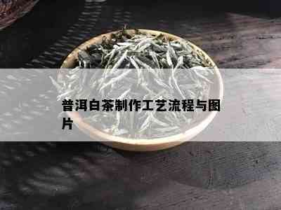 普洱白茶制作工艺流程与图片