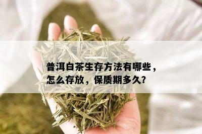 普洱白茶生存方法有哪些，怎么存放，保质期多久？