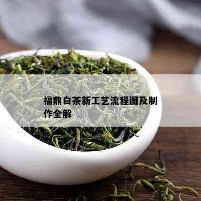 福鼎白茶新工艺流程图及制作全解