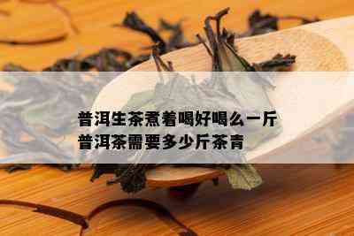 普洱生茶煮着喝好喝么一斤普洱茶需要多少斤茶青