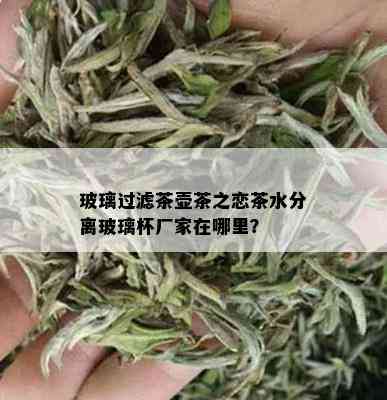 玻璃过滤茶壶茶之恋茶水分离玻璃杯厂家在哪里？