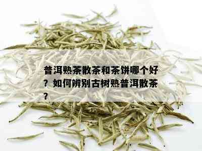 普洱熟茶散茶和茶饼哪个好？如何辨别古树熟普洱散茶？