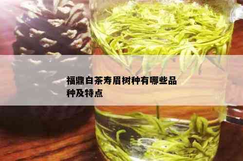 福鼎白茶寿眉树种有哪些品种及特点