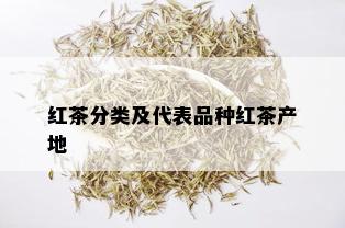 红茶分类及代表品种红茶产地