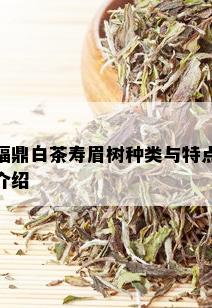 福鼎白茶寿眉树种类与特点介绍