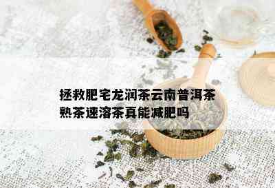 拯救肥宅龙润茶云南普洱茶熟茶速溶茶真能减肥吗