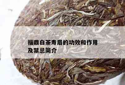 福鼎白茶寿眉的功效和作用及禁忌简介