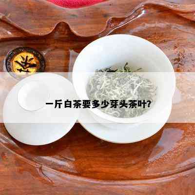 一斤白茶要多少芽头茶叶？