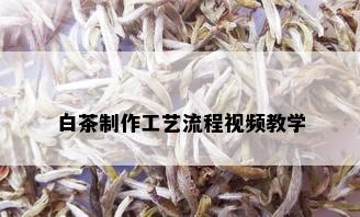 白茶制作工艺流程视频教学