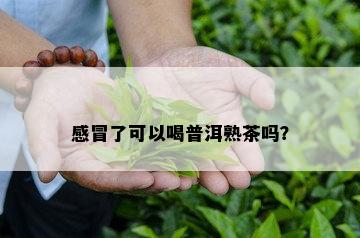 感冒了可以喝普洱熟茶吗？