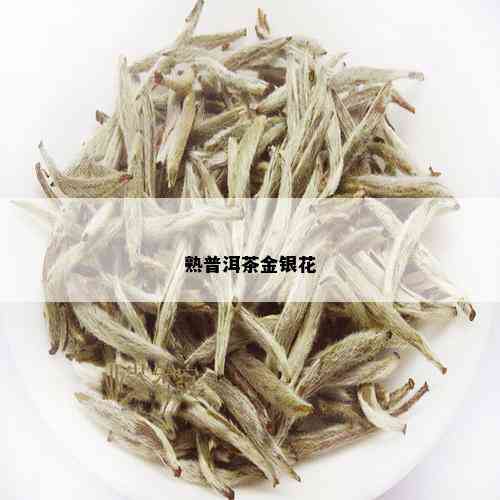 熟普洱茶金银花