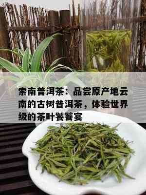 索南普洱茶：品尝原产地云南的古树普洱茶，体验世界级的茶叶饕餮宴