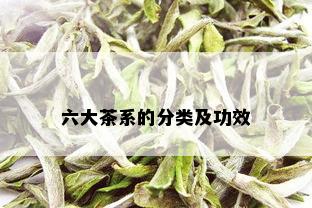 六大茶系的分类及功效